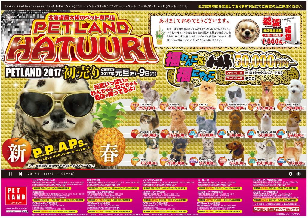 PET LAND2017初売り札幌地区_表面