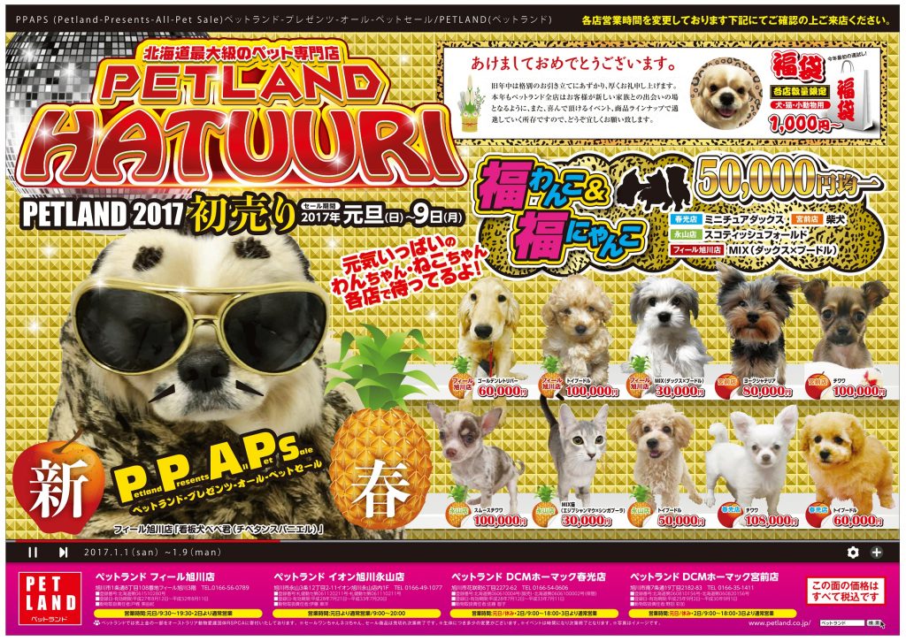 pet-land2017%e5%88%9d%e5%a3%b2%e3%82%8a%e6%97%ad%e5%b7%9d%e5%9c%b0%e5%8c%ba_%e8%a1%a8%e9%9d%a2-%e7%a2%ba%e8%aa%8d%e7%94%a8-1%e3%83%88%e3%83%aa