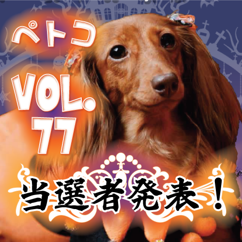 ペトコVOL.77当選者発表！