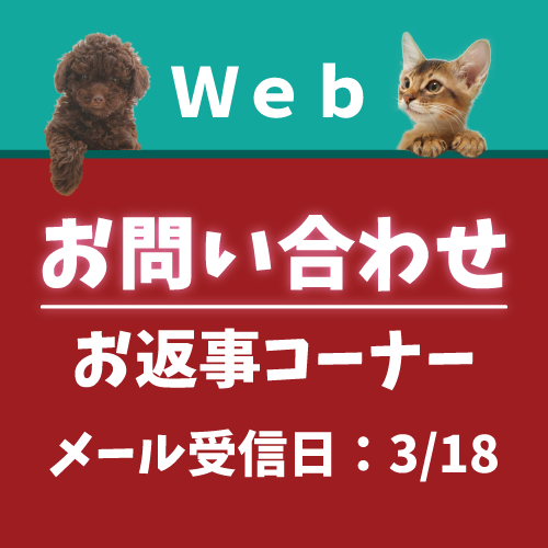 3月18日受信分のお返事