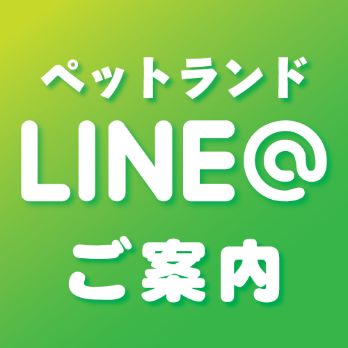 店舗LINE紹介！