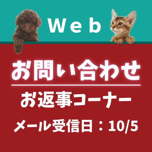 10月5日受信分のお返事