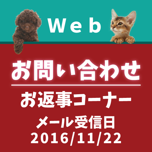 11月22日受信分のお返事