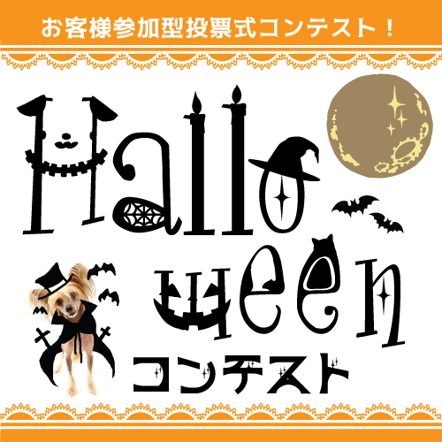 2017ハロウィンコンテスト