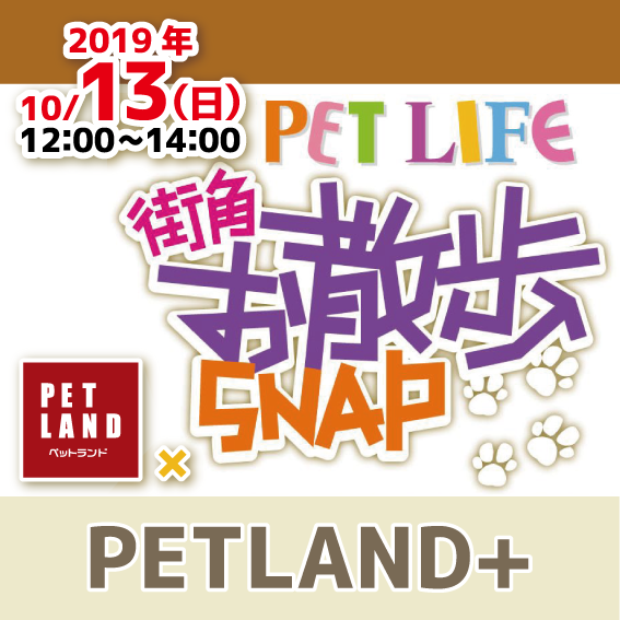 PETLIFE撮影会