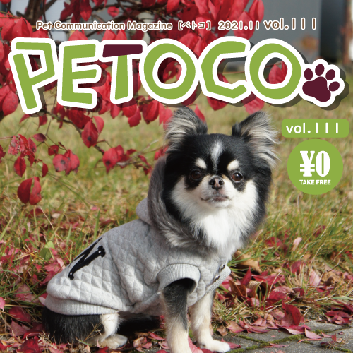 【PETOCO】vol.111号発刊！