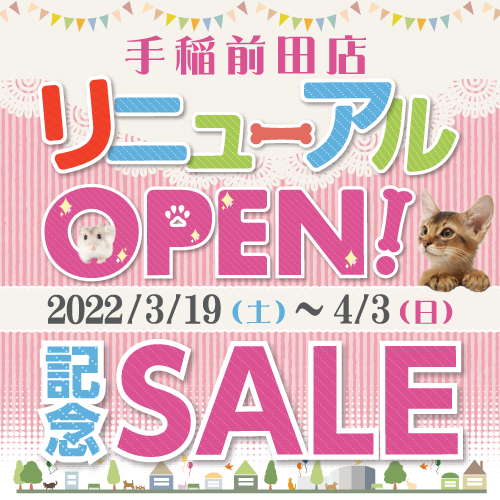 手稲前田リニューアルSALE！