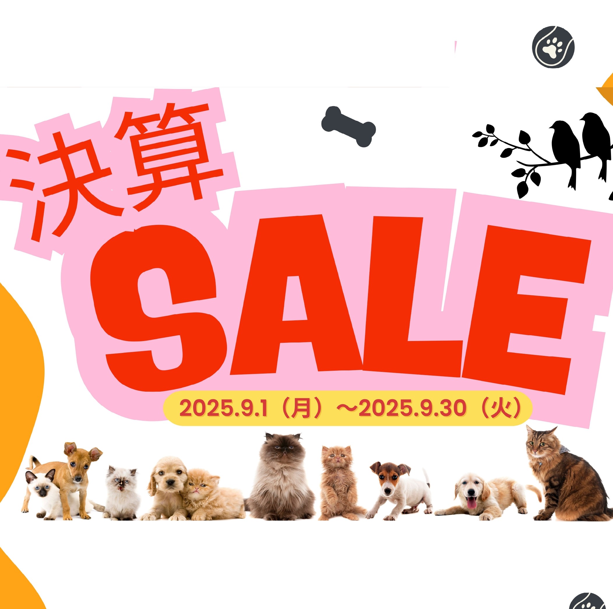 決算セールのご案内！！