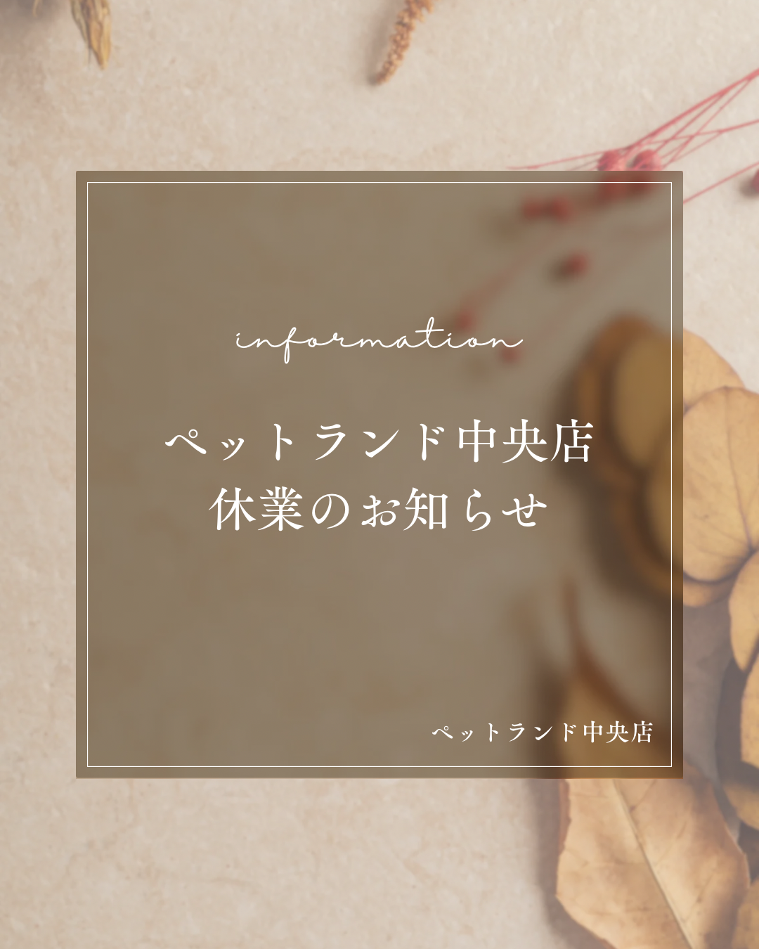 中央店 休業のお知らせ