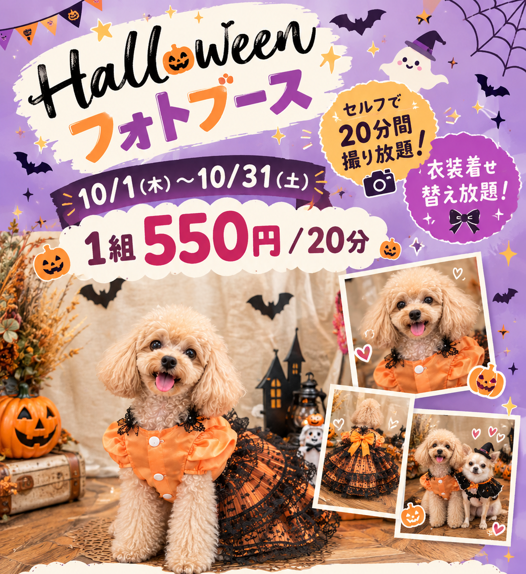 🎃✨期間限定！Halloweenフォトブース　開催中！✨🎃
